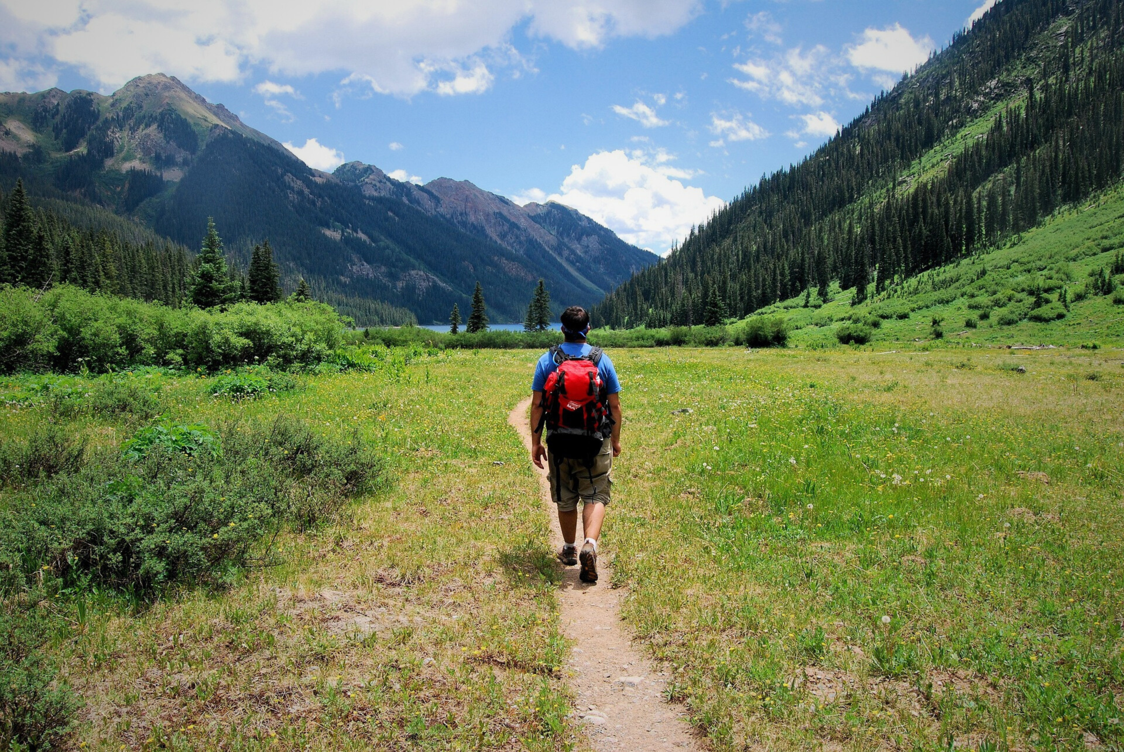 Nature et Bible conduisent à la Permaculture ?